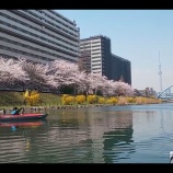 �ؤ��ָ����̡��ĥ����٤β���