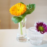 『最近「いいな」と思ったものいろいろ』の画像