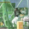 日ハム今井のインコース打ちｗｗｗｗｗｗ