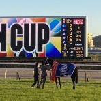 馬主目線の競馬予想