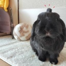 どうぞ ごゆっくり ♪
