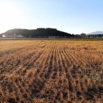 やまやま再発見