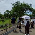 親子でバラ観察会'26 ④