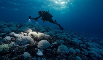 地球が「臨界点」超える危険性、気候科学者が警鐘