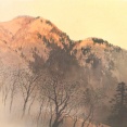 玉堂の《残照》｜川合玉堂　―なつかしい日本の情景―
