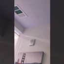 朝から鳴り続けたアレ♪