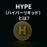 『HYPE（ハイパーリキッド）とは？次世代DEXの独自トークンを徹底解説｜永久先物・バイバック・バーン設計の全貌』の画像
