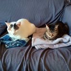 moroのハンドメイド