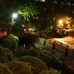 夜散歩のススメ