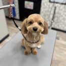 ☆トリミング☆