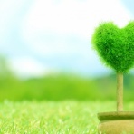 ★アラフォー負け犬女子のお気楽気まぐれ日記★