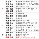 『21Uワールドカップ、現地からレポート｜2014NPB』の画像