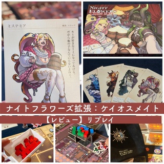 ある元心理カウンセラーのボードゲーム日記