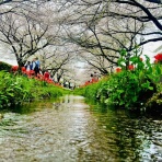 メゾンカルチャークラブ溝の口スタッフブログ