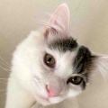 ハ〜ナクソ王子〜♪