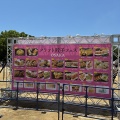餃子フェス　in 大阪城