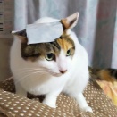 激混みMUJI週間の初日