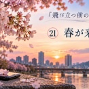 飛び立つ前の雛たち㉑　「春が来ても」