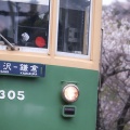 305年ぶり