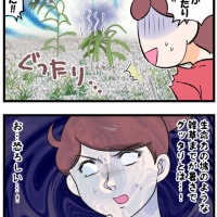 ついに雑草までぐったりする今夏の猛暑っぷりに驚愕する