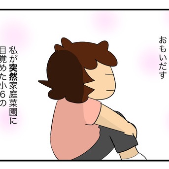 秋だけど夏野菜植えた