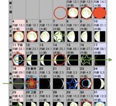 注意するべき視点