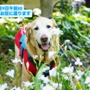 明日2026/07/09 10時に荼毘に付します。