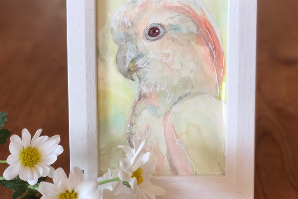 ウチのナマモノ モデル募集中