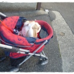 いつまでも一緒だよ♪