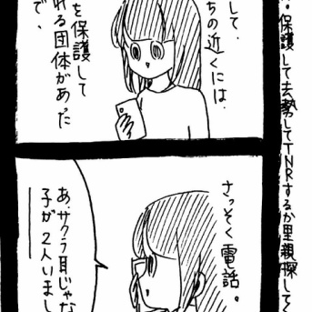 里親を探そう3