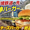 秘境路線の果てに絶品バーガー！しまね和牛チーズバーガーを食べに行く旅【芸備線・木次線】