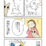 お姉ちゃん大好きな弟猫ちゃん＃７【ねこちゃんの距離】