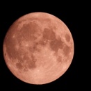 2026　2026　岡山県　岡山市の自宅の空　🌛月