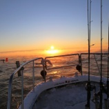 『１月１０日更新　９日　釣果　スーパーライトジギング　根魚狙い　海上は珍しい気嵐が発生⛄』の画像