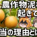 闇バイト？農作物の盗難被害が起きている本当の理由とは…