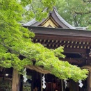 2026年5月お出かけ記（食べ歩記）