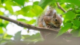 いい天気だから動物園でちょっと写真撮った（※画像あり）