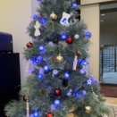 クリスマスツリー出しました