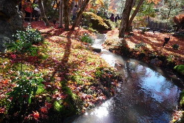 「家庭画報」10月号特集「京都－－心に残る美味」の掲載店