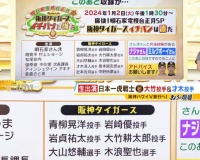 正月の『明石家電子台阪神スペシャル』、永久保存版だろｗｗｗ