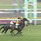 【次走報】新潟記念・2着のロデオドライブはマイルCSへ！