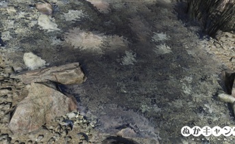 Fallout 76：水面の寒天化現象について
