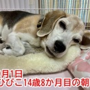 9月のワンツースリー