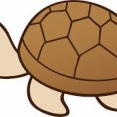 【画像】亀仙流とかいう素晴らしい教義ｗｗｗｗｗｗｗｗｗｗｗｗｗｗｗｗｗｗｗｗｗｗｗｗ