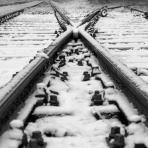 介護がきた・50代から始める独身女性の仕事と生き方