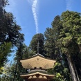 高野山 壇上伽藍と奥之院へ。