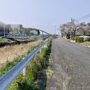 桜メモリー②。