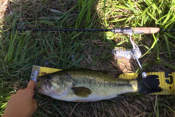 Sのバス釣り 秋田 野池 八郎潟