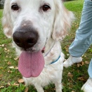 軟体セッター？