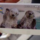 週刊東大軟庭部 第323号